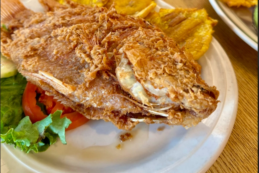 Pargo Rojo